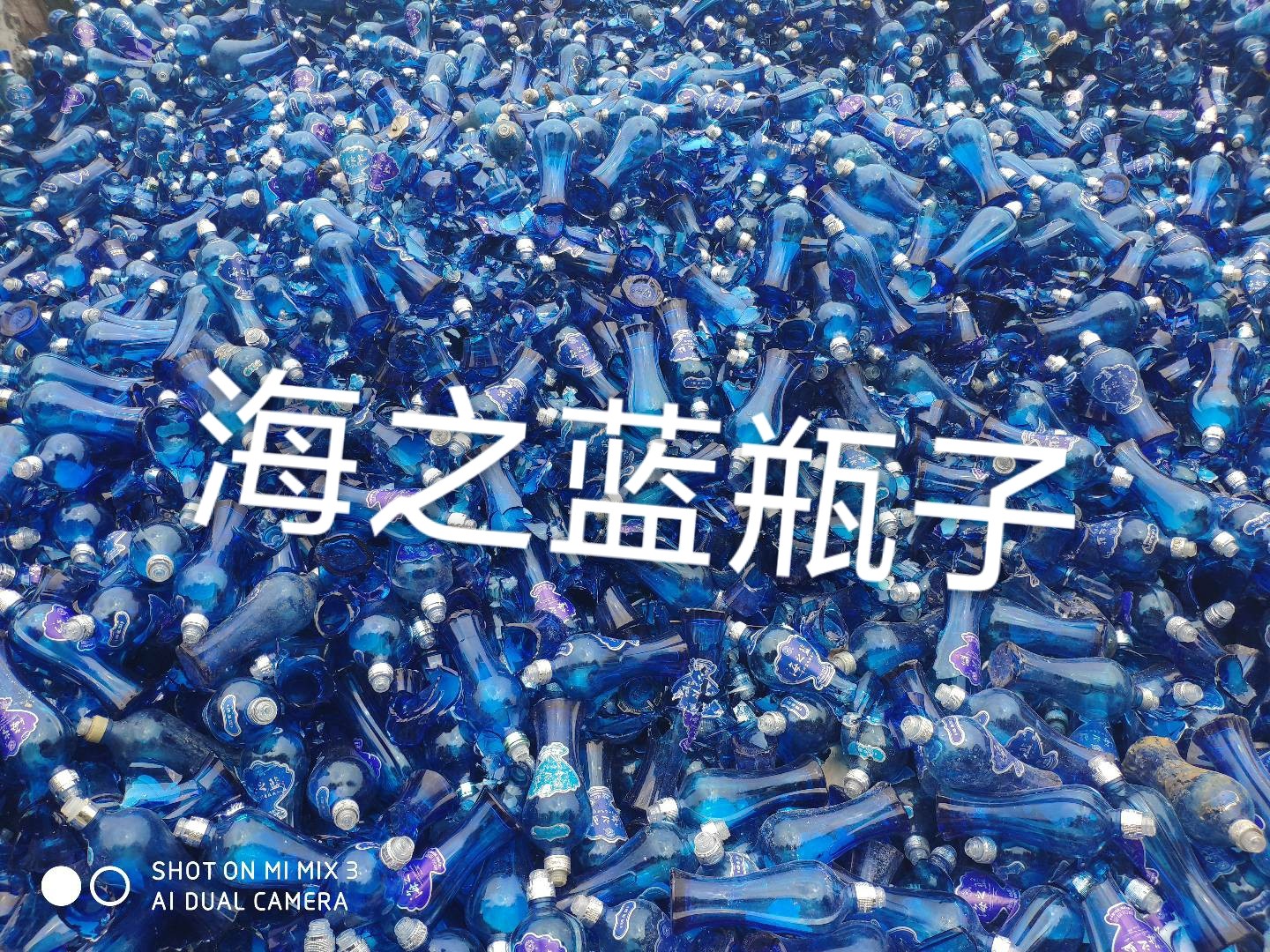 江都区海之蓝瓶回收